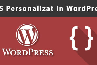 Plugin pentru crearea regulilor CSS personalizate in WordPress