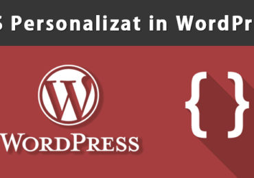 Plugin pentru crearea regulilor CSS personalizate in WordPress