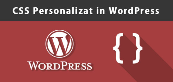 Plugin pentru crearea regulilor CSS personalizate in WordPress