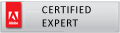 Dana Damoc - Adobe Certified Expert