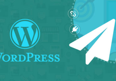 Greseli frecvente la indexarea site-urilor web WordPress in motoarele de cautare