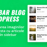 Curs WordPress online - plugin pentru imagini lista articole sidebar