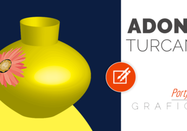 Adonis Turcanu – Grafica